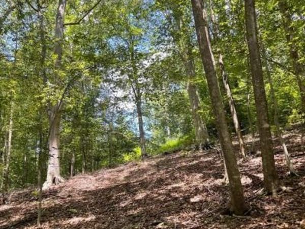 Lot 28 COMPASS COURT , KING GEORGE, VA 22485