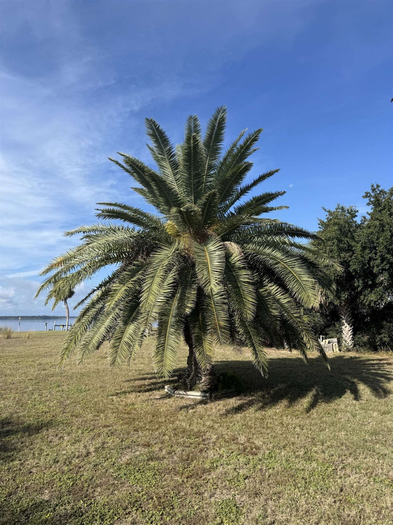 Sunrise Lane , Lot #IV, Panacea, FL 32346 Photo
