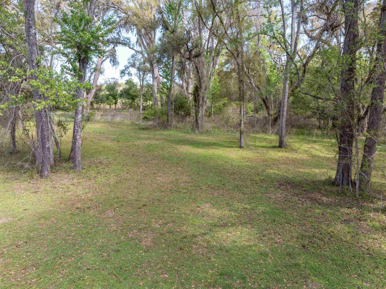 572 NE Oak Hill Road , Pinetta, FL 32350 Photo