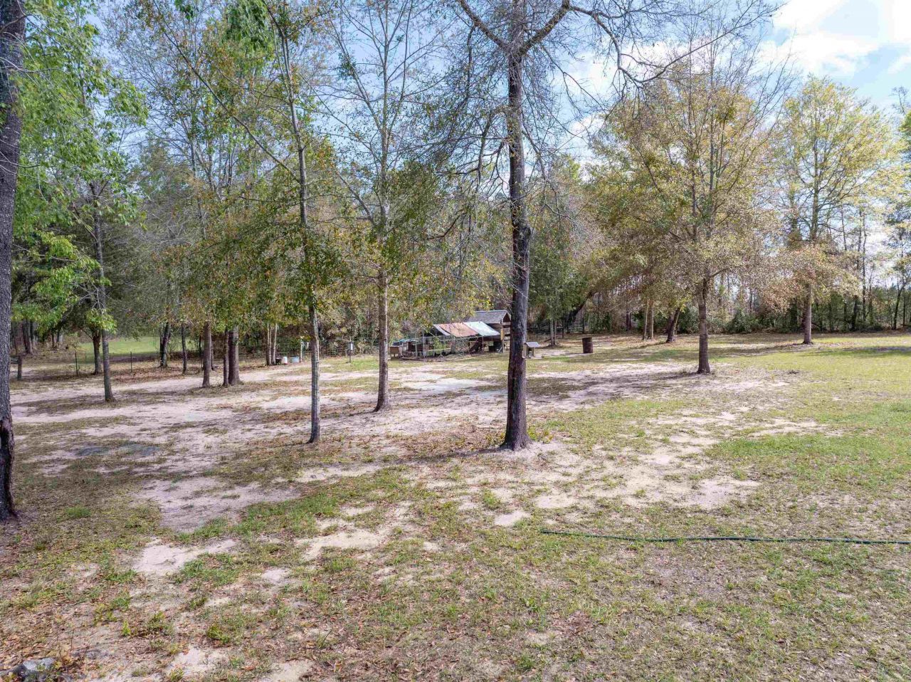 572 NE Oak Hill Road , Pinetta, FL 32350 Photo