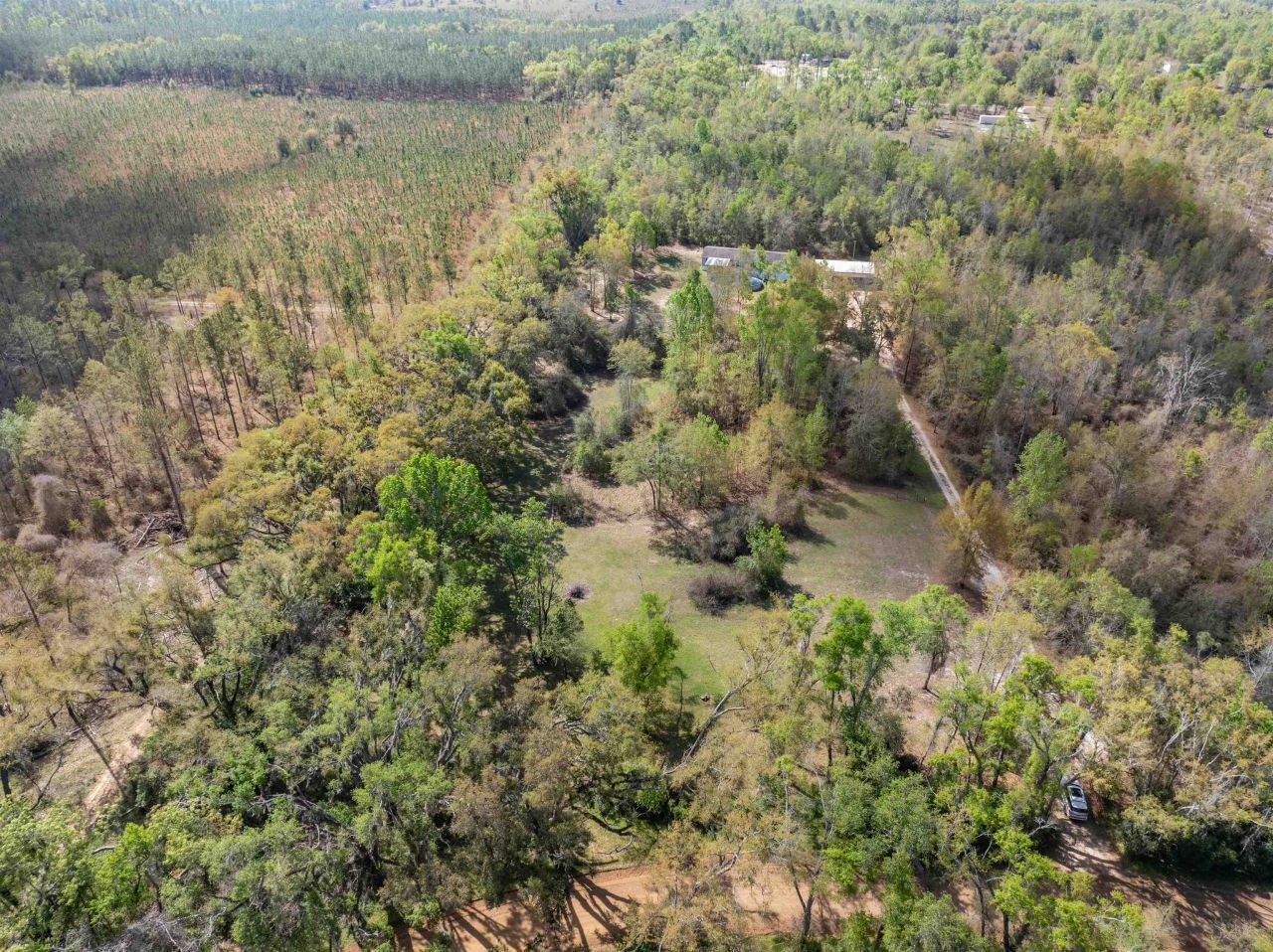 572 NE Oak Hill Road , Pinetta, FL 32350 Photo