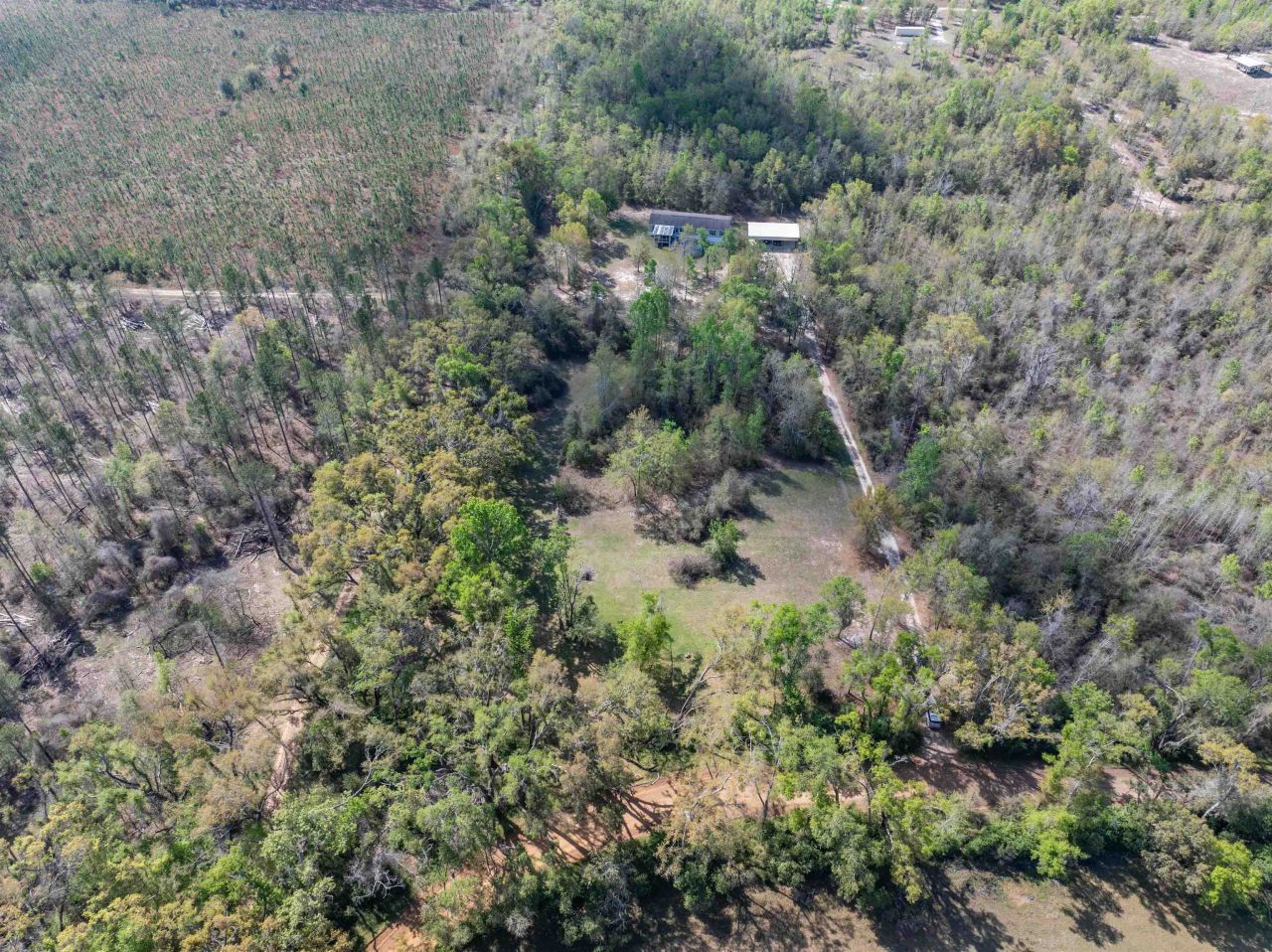 572 NE Oak Hill Road , Pinetta, FL 32350 Photo