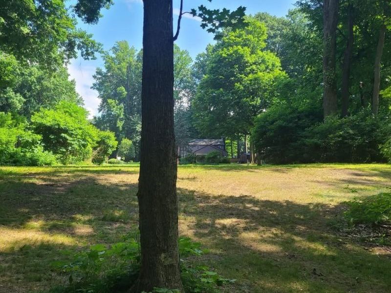 S/L 25 and S/L 26 Old Mill Road, Madison, OH 44057 Photo 2