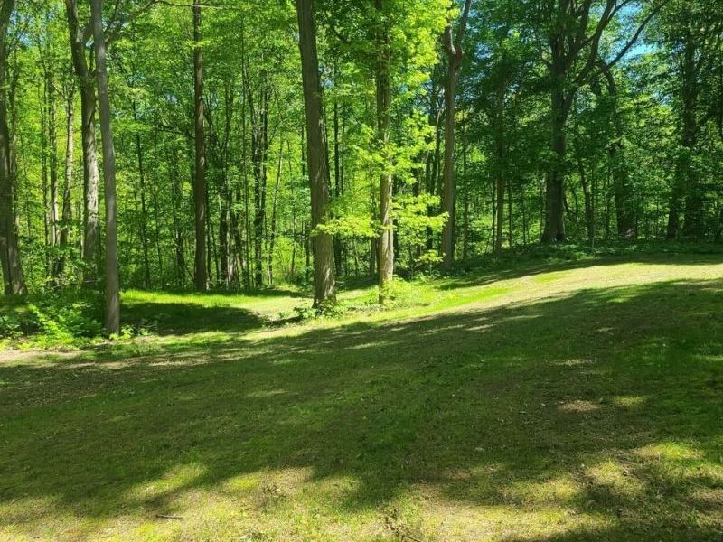 S/L 25 and S/L 26 Old Mill Road, Madison, OH 44057 Photo 4