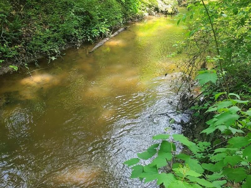 S/L 25 and S/L 26 Old Mill Road, Madison, OH 44057 Photo 5