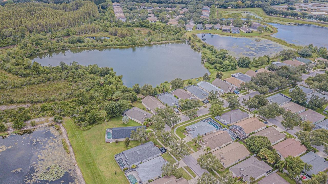 18024 Arbor Crest Drive, Tampa, FL 33647 Photo