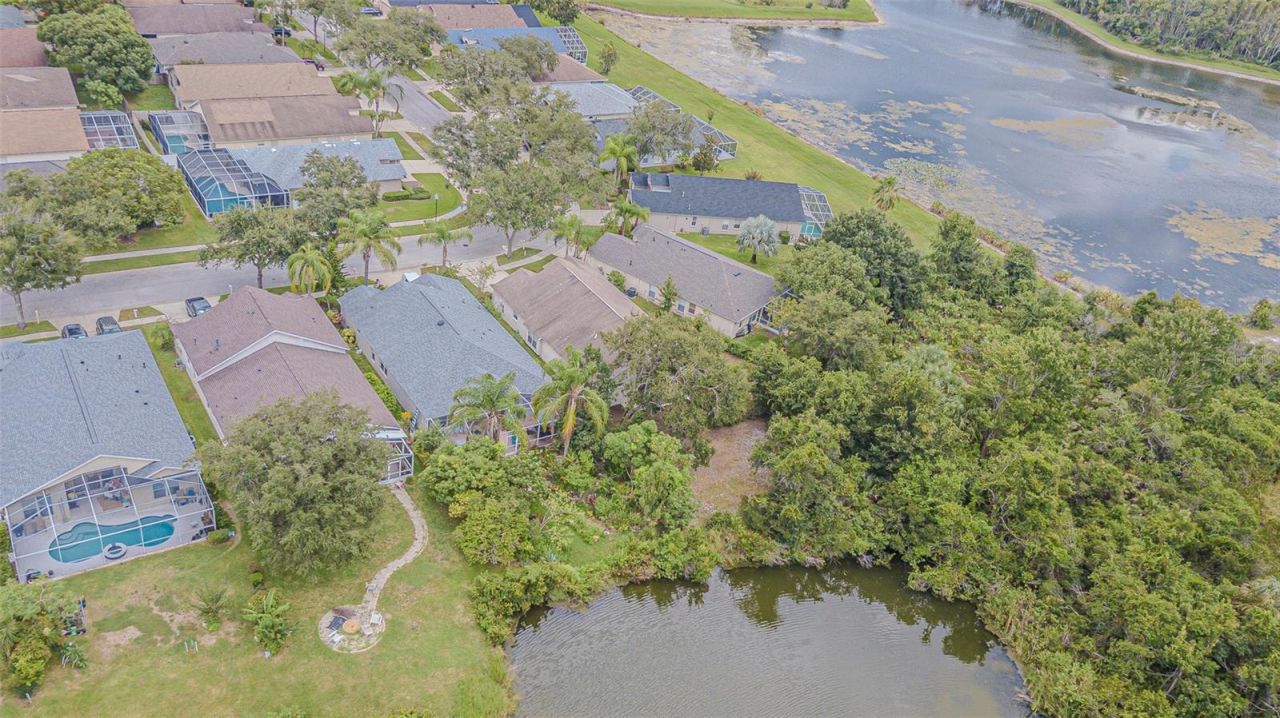 18024 Arbor Crest Drive, Tampa, FL 33647 Photo