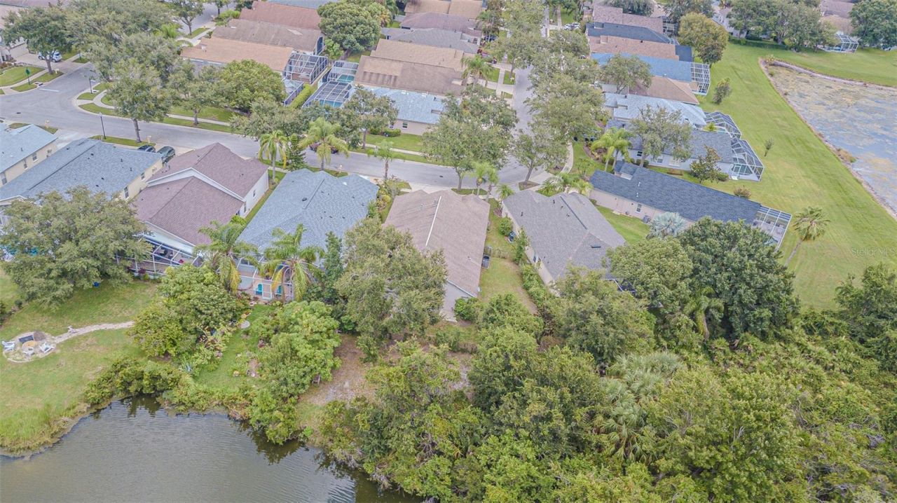 18024 Arbor Crest Drive, Tampa, FL 33647 Photo