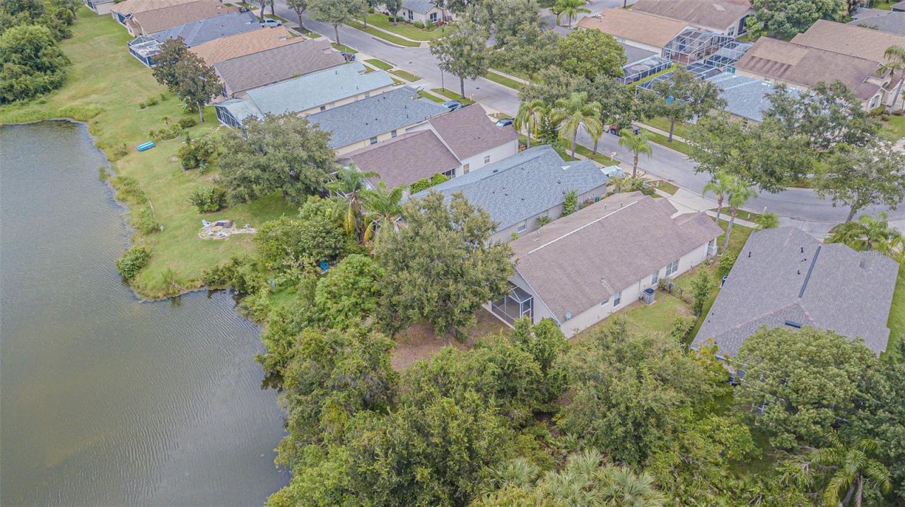 18024 Arbor Crest Drive, Tampa, FL 33647 Photo