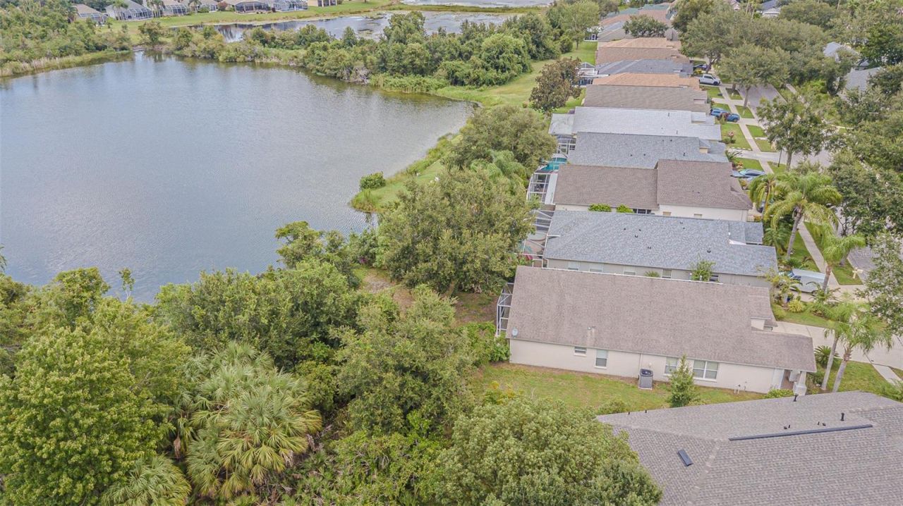 18024 Arbor Crest Drive, Tampa, FL 33647 Photo