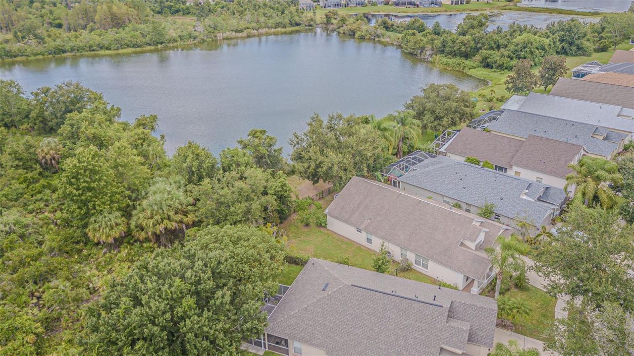 18024 Arbor Crest Drive, Tampa, FL 33647 Photo