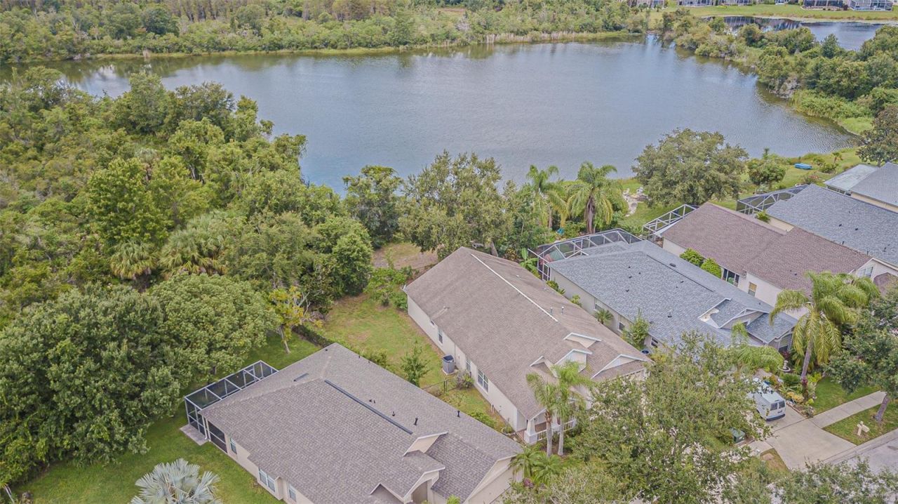 18024 Arbor Crest Drive, Tampa, FL 33647 Photo