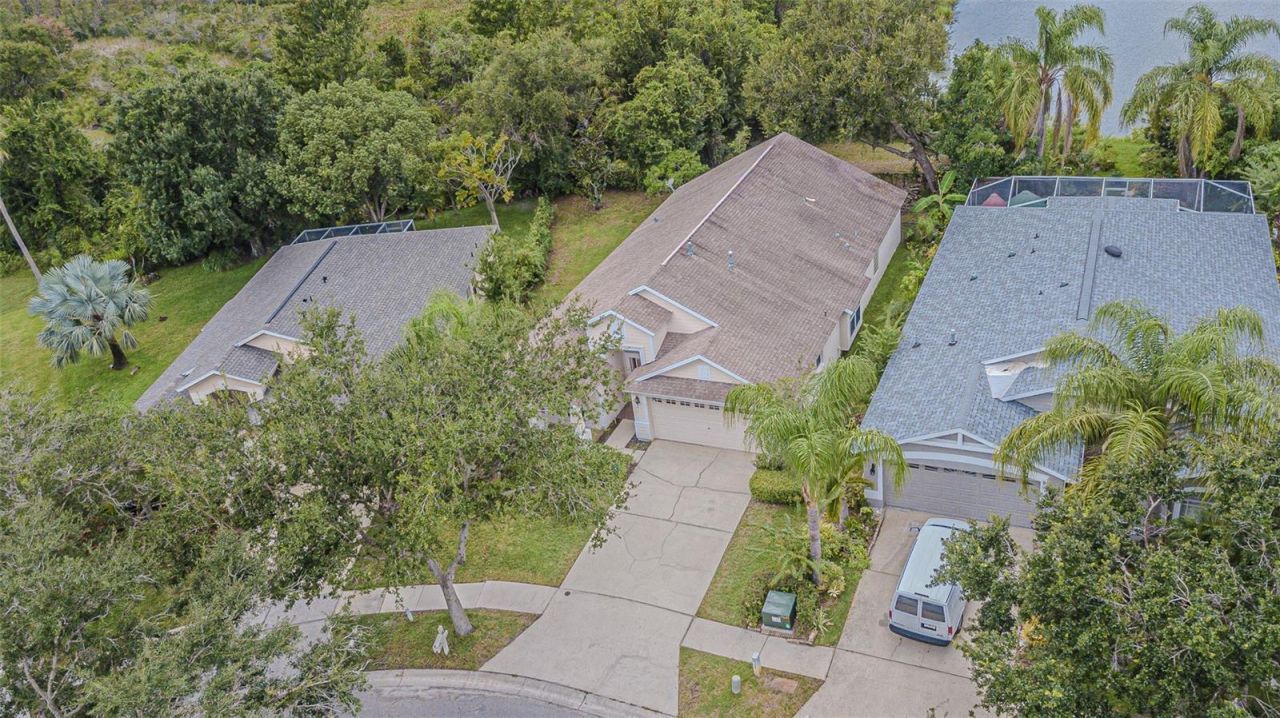18024 Arbor Crest Drive, Tampa, FL 33647 Photo