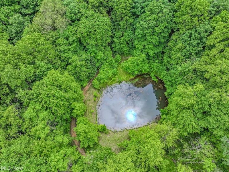 14161 Radcliffe Road, Chardon, OH 44024 Photo 5