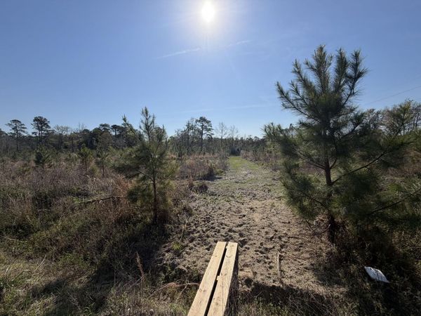 Lot 1 Amos Rd , Georgetown, SC 29440