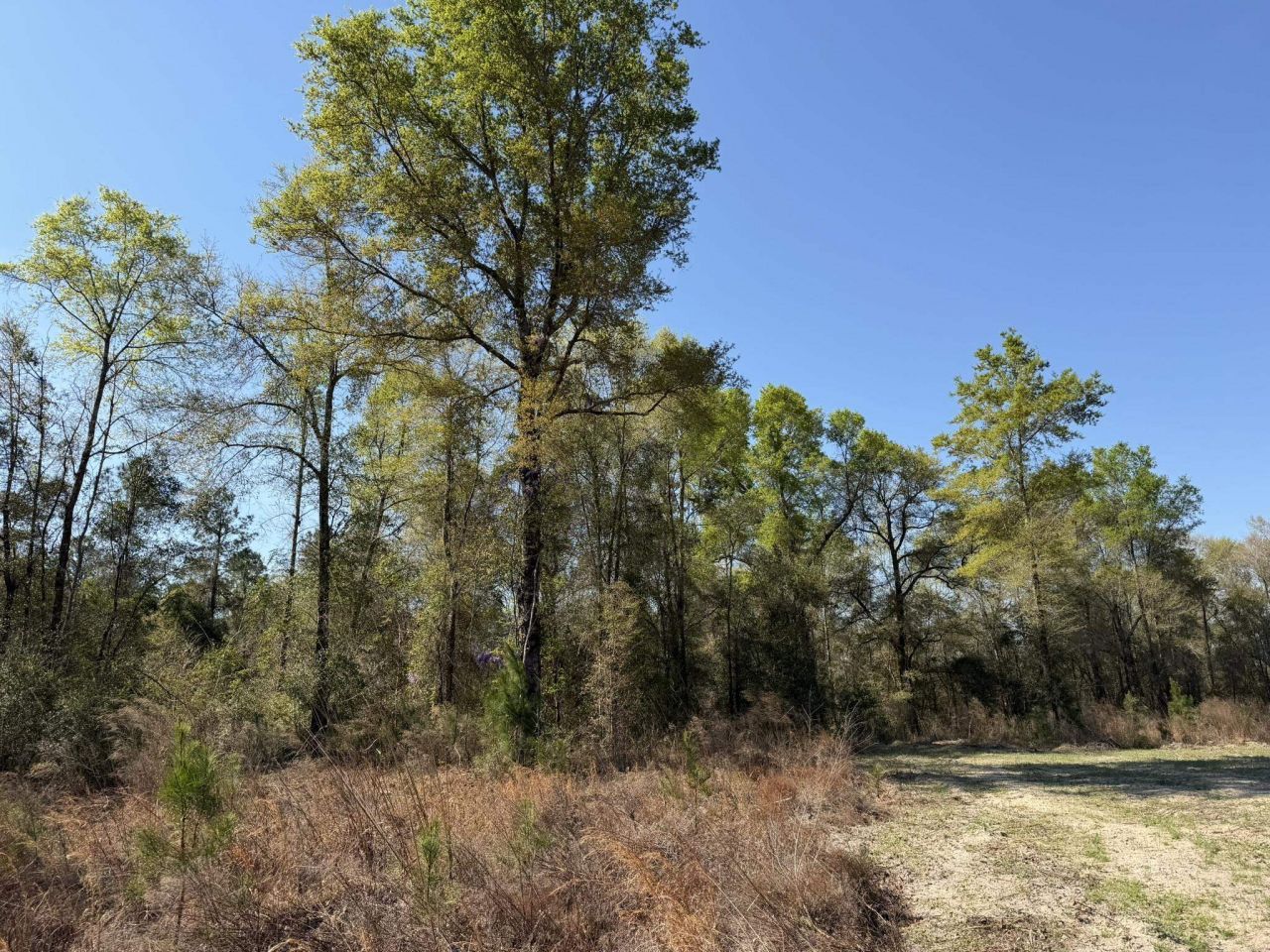 Lot 1 Amos Rd Photo 11