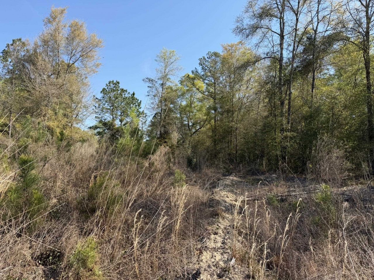 Lot 1 Amos Rd Photo 12