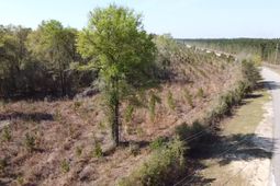 Lot 1 Amos Rd photo 4