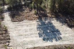 Lot 1 Amos Rd photo 4