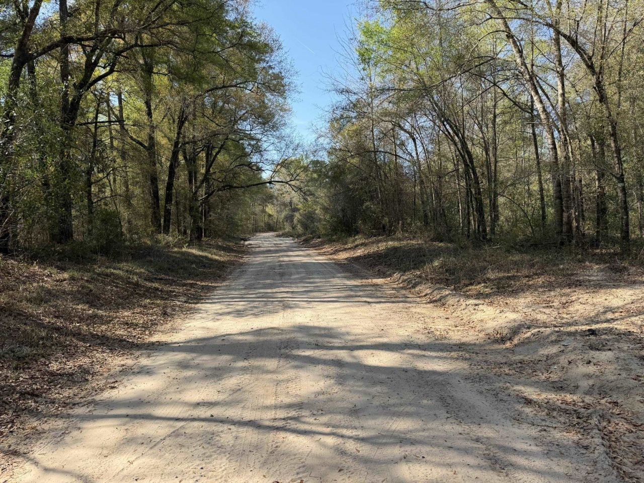 Lot 1 Amos Rd Photo 9