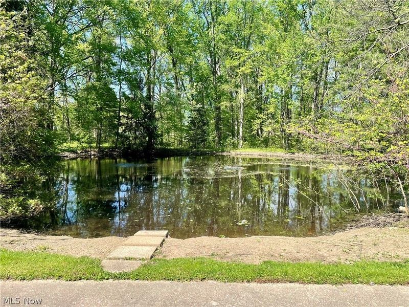 9251 Boyer Lane, Kirtland Hills, OH 44060 Photo 41