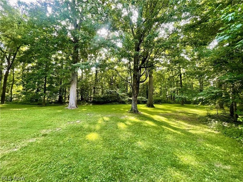 9251 Boyer Lane, Kirtland Hills, OH 44060 Photo 45
