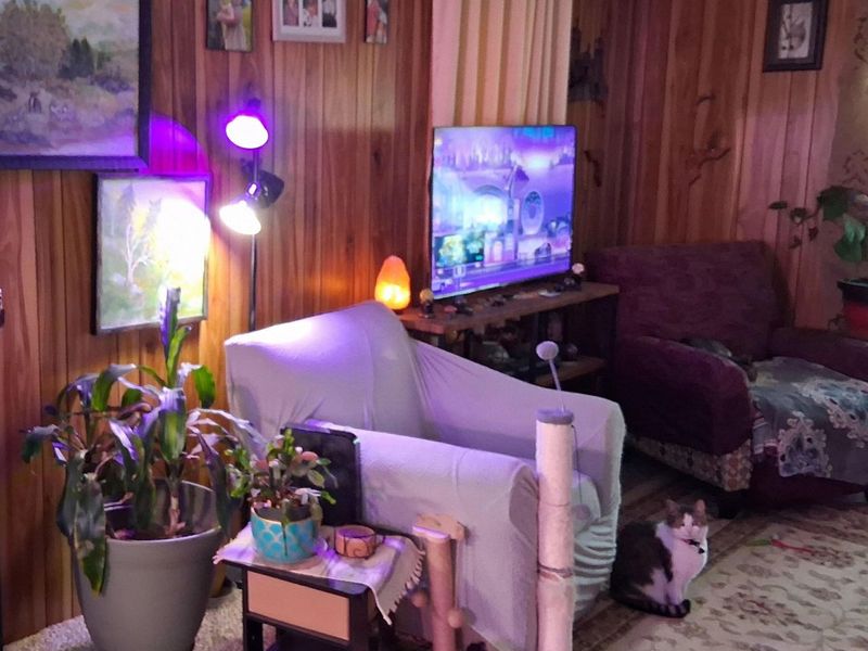 900 Broadway Street , Middleport, OH 45760 Photo 6