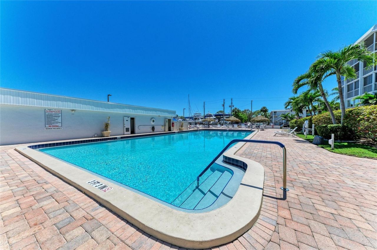 4920 38th Way S, Unit 210, Saint Petersburg, FL 33711 Photo