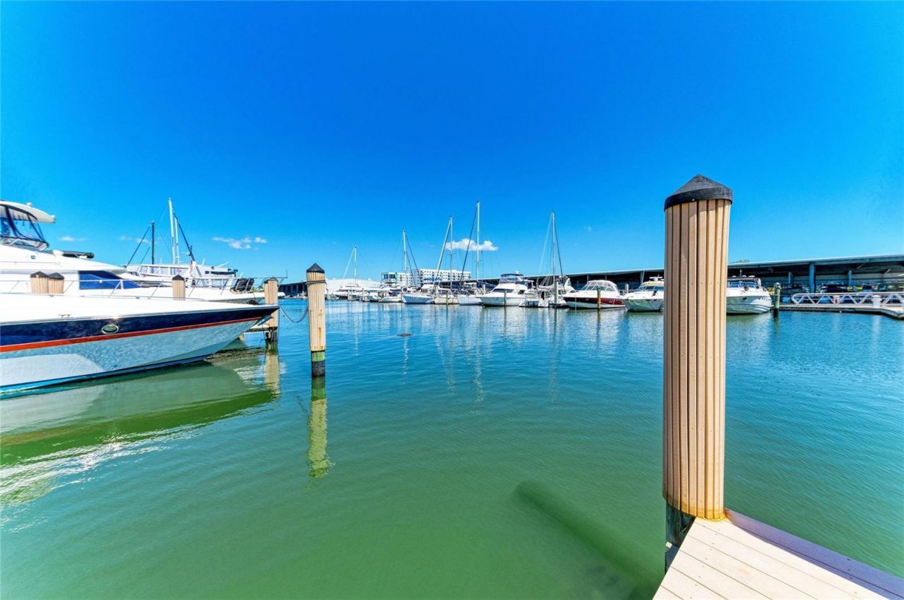 4920 38th Way S, Unit 210, Saint Petersburg, FL 33711 Photo