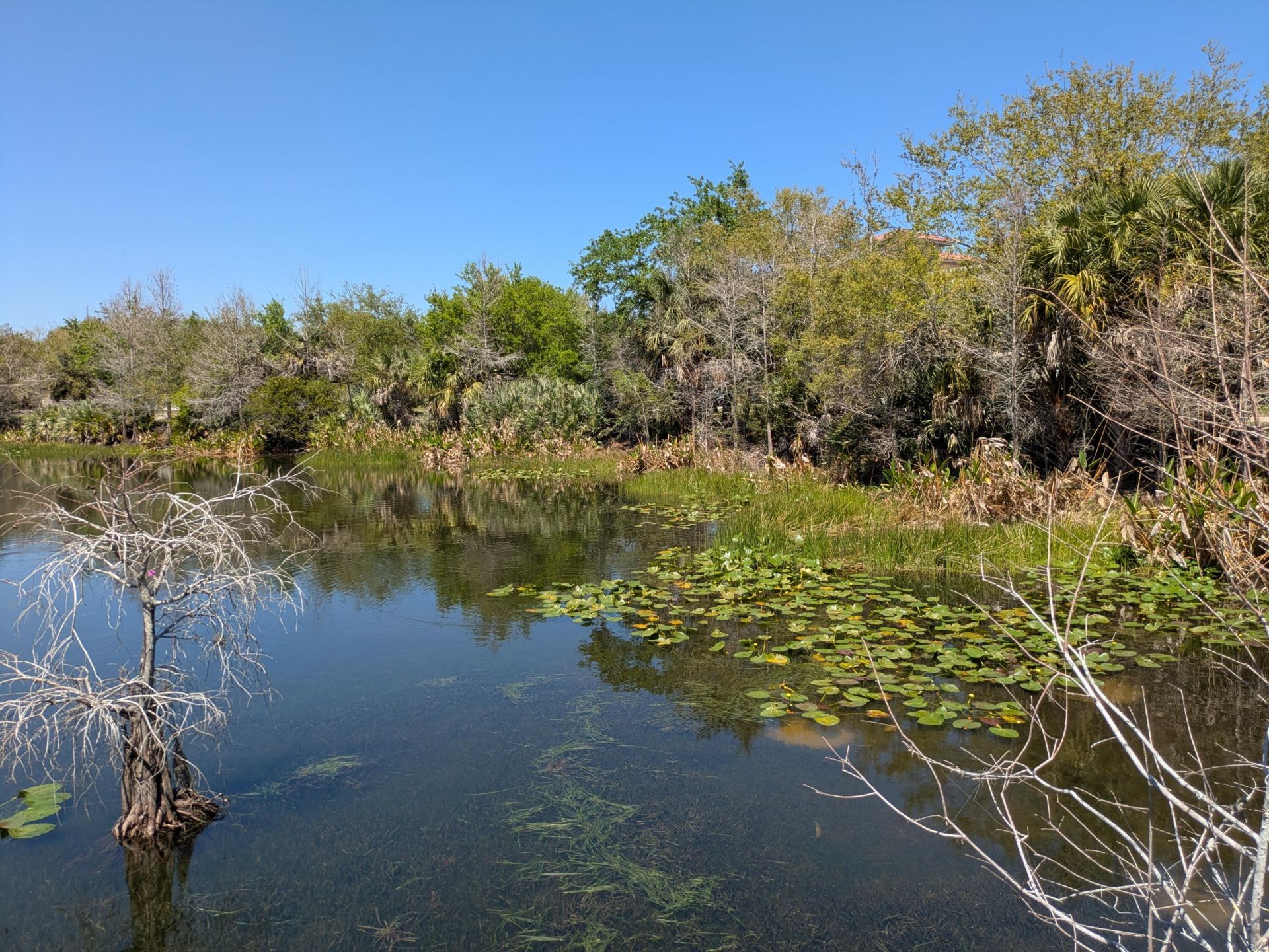 2157 SE Jamieson Drive, Port Saint Lucie, FL 34952 Photo