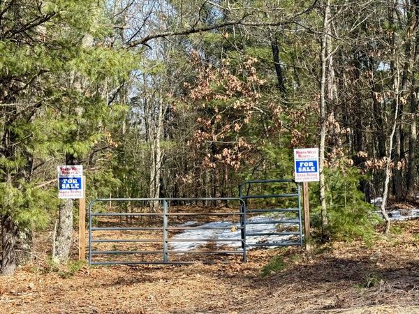 VL N Merrillville Road, Baldwin, MI 49304