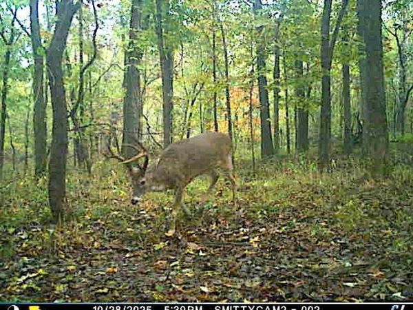 00 Locust Grove Road, Thompsonville, IL 62890