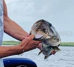 17381 NW 262nd Street , Okeechobee, FL 34972 Photo