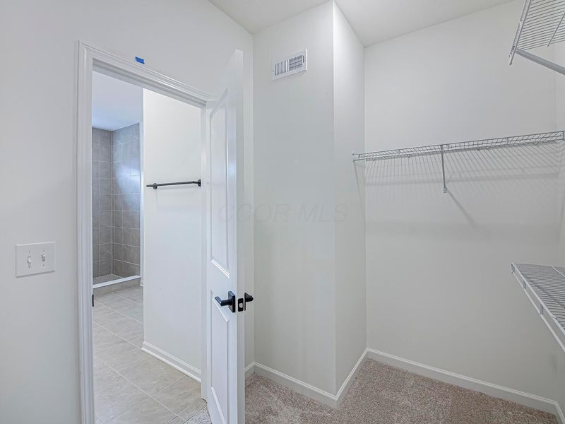 339 Pinnate Lane, Unit Lot 1403, Westerville, OH 43082 Photo 18
