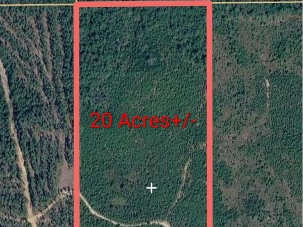 0 Cow Hill Road, Millry, AL 36558