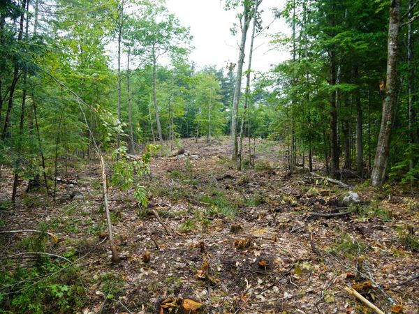 89 Chapman Road , Harrison, ME 04040