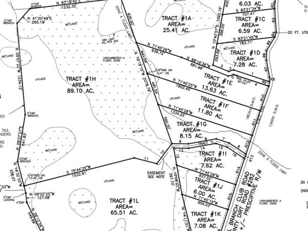 0 Mill Branch Club Road 1J, Pembroke, GA 31321