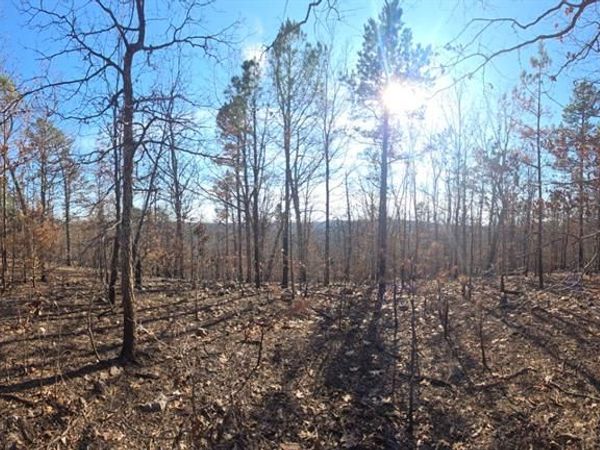 19-4.0-0019- 000-000-012.09000 , Potosi, MO 63664