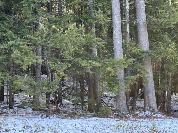 1 Shady Lane, Unit 1, New Hampton, NH 03256