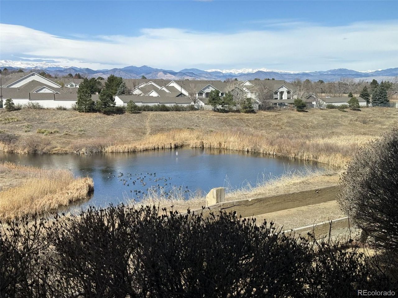 8389 Pebble Creek Way, Unit 101, Highlands Ranch, CO 80126 Main Photo