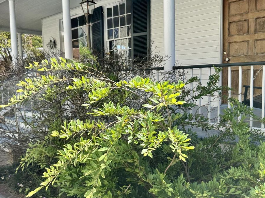 Property Image 7