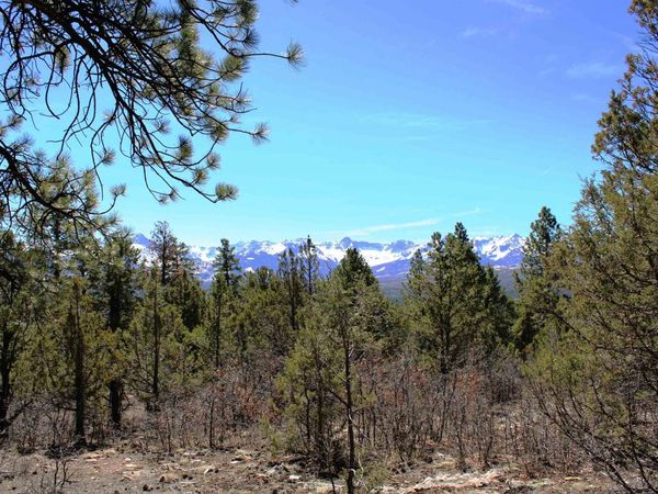 TBD Old Relay Road , Ridgway, CO 81432