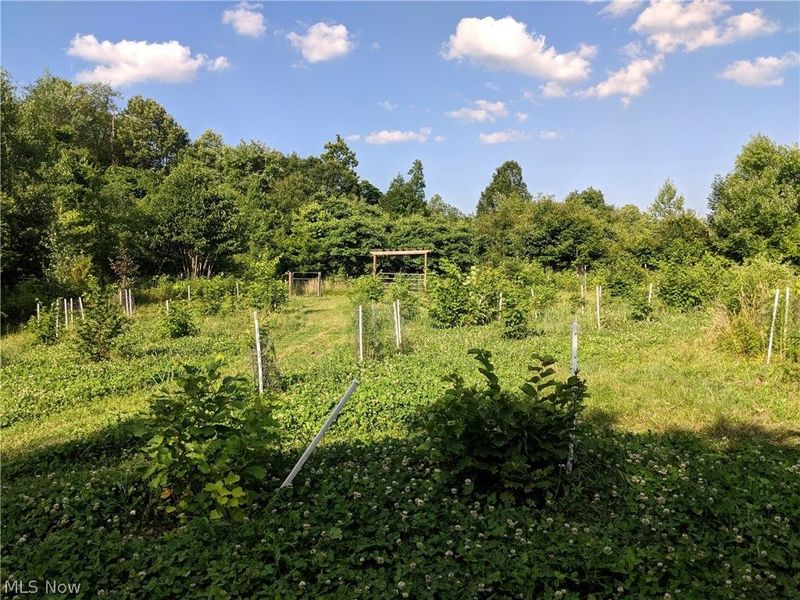 100 Cottage Grove Drive, Youngstown, OH 44505 Photo 18