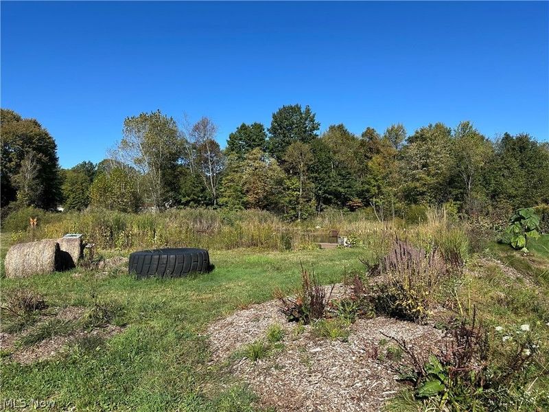 100 Cottage Grove Drive, Youngstown, OH 44505 Photo 27