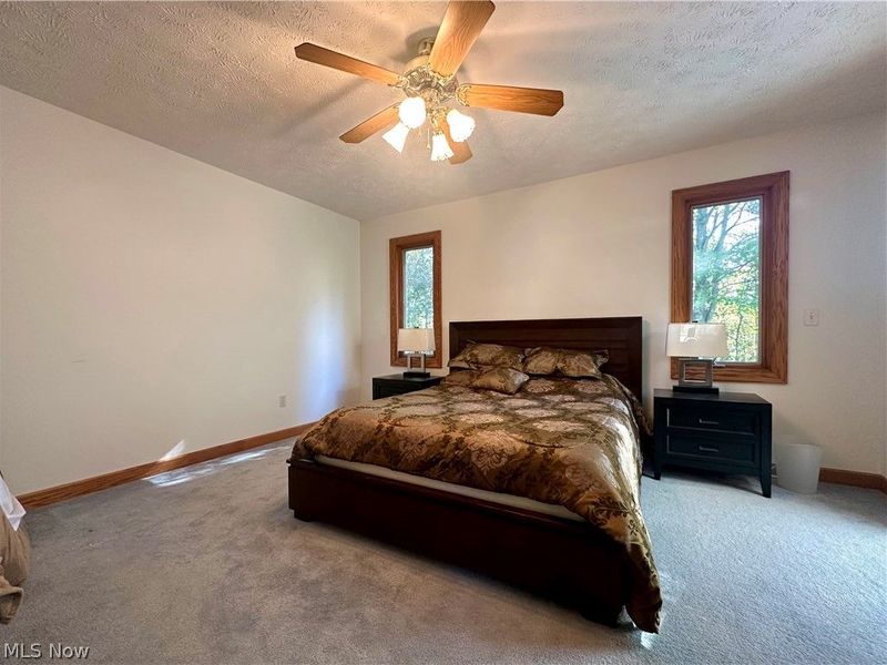 100 Cottage Grove Drive, Youngstown, OH 44505 Photo 39