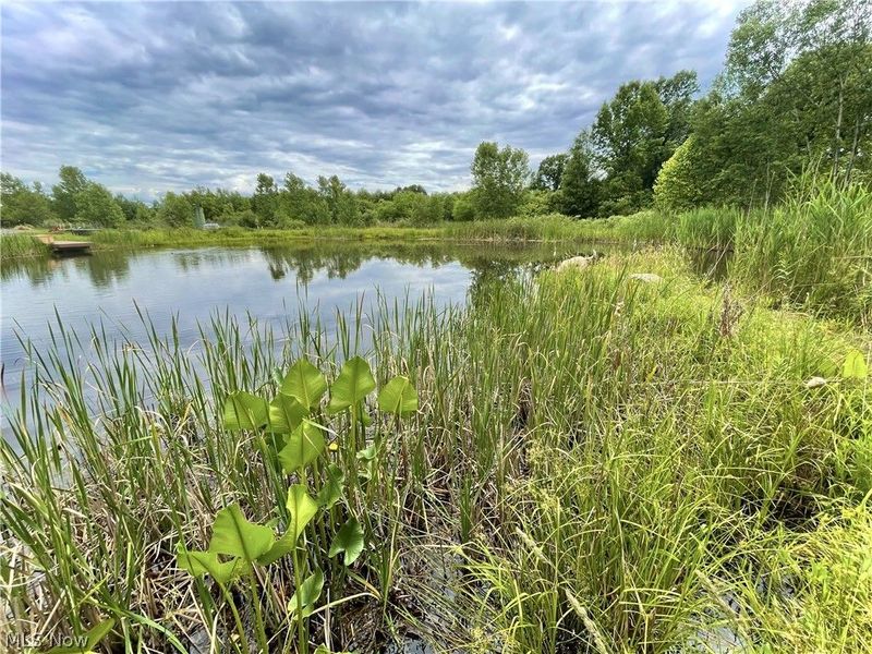 100 Cottage Grove Drive, Youngstown, OH 44505 Photo 4