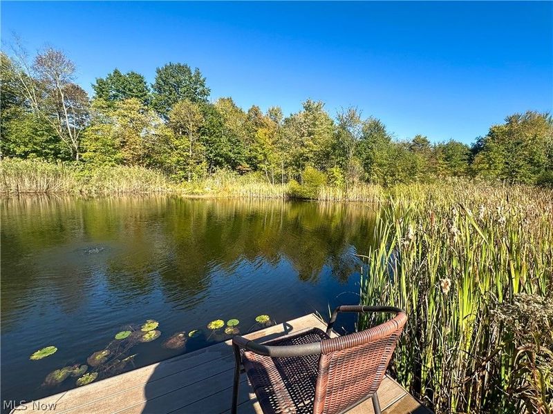 100 Cottage Grove Drive, Youngstown, OH 44505 Photo 6