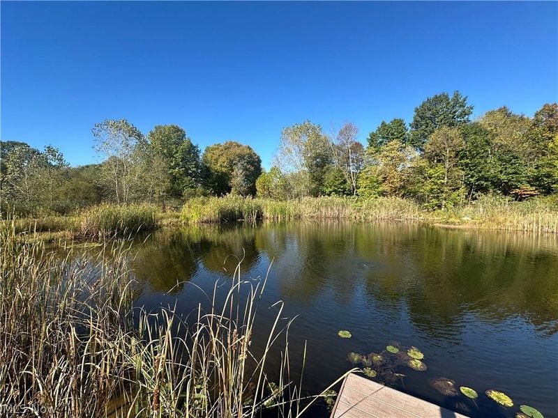 100 Cottage Grove Drive, Youngstown, OH 44505 Photo 7