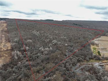 Engdahl Road, Cherry Creek, NY 14723