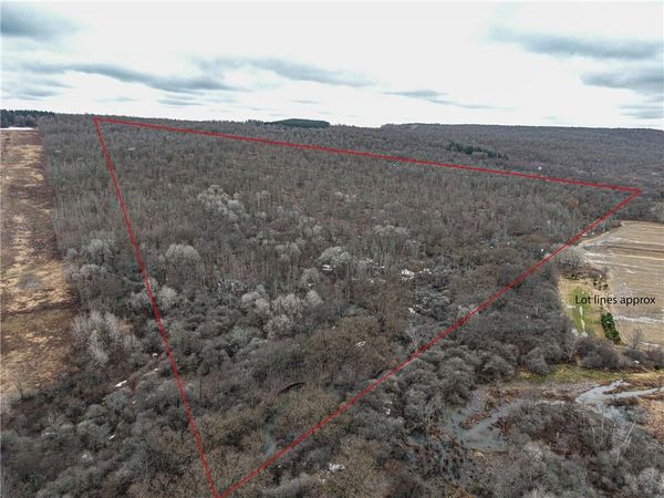 Engdahl Road, Cherry Creek, NY 14723